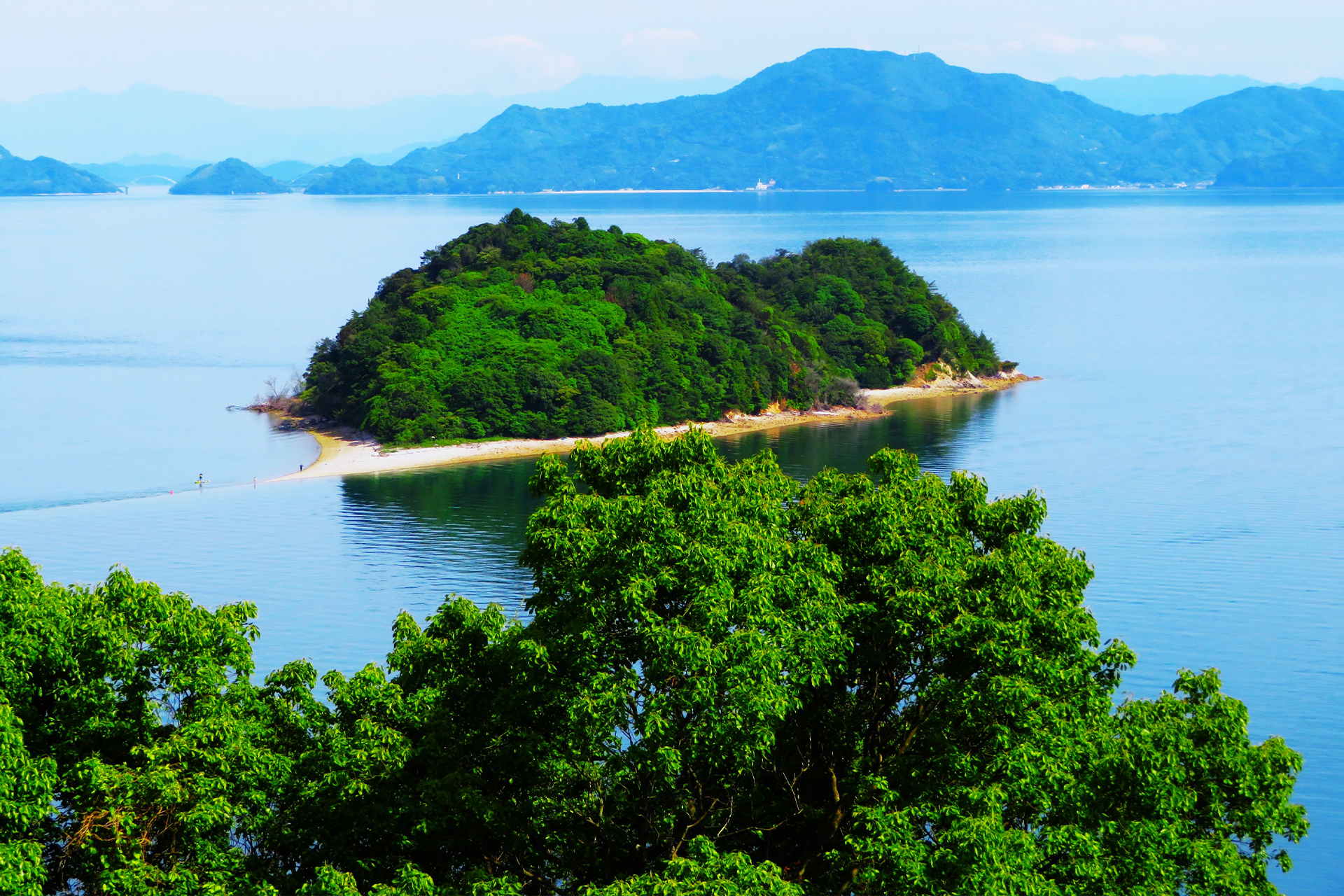 小芝島